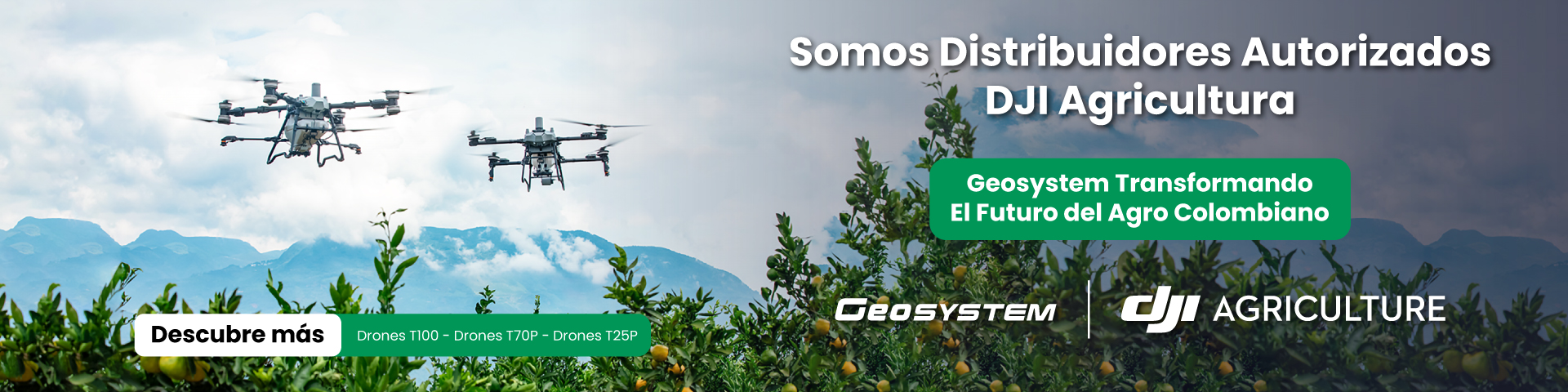distribuidores-dji-agricultura-2025-drones-t100-t70p-t25p